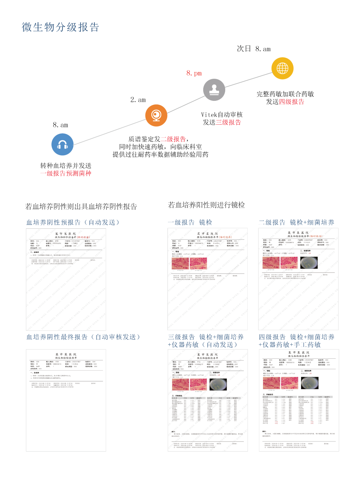 微生物图文报告系统0827_画板 1 副本 2@1x.png