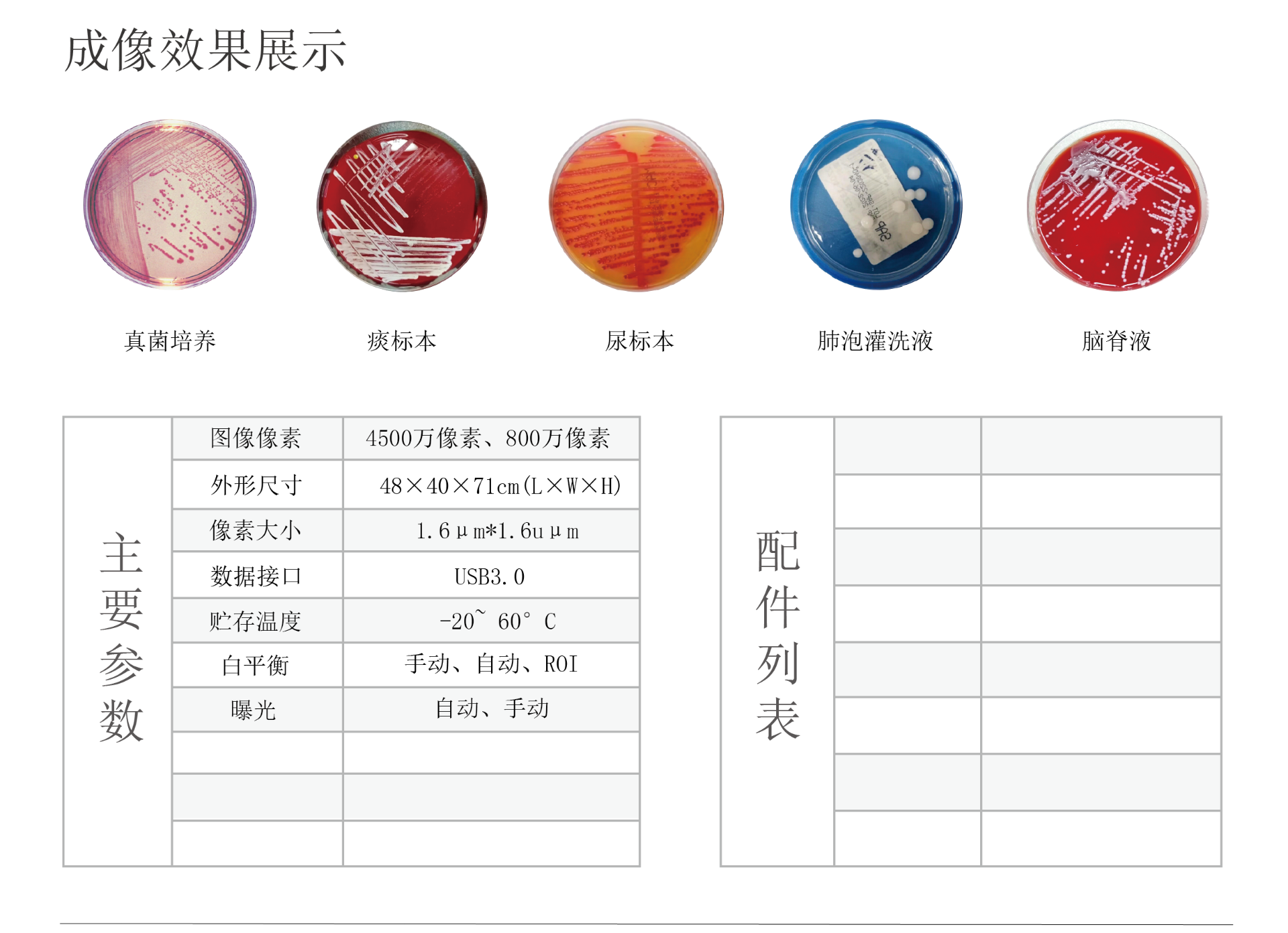 容器 11@1x.png