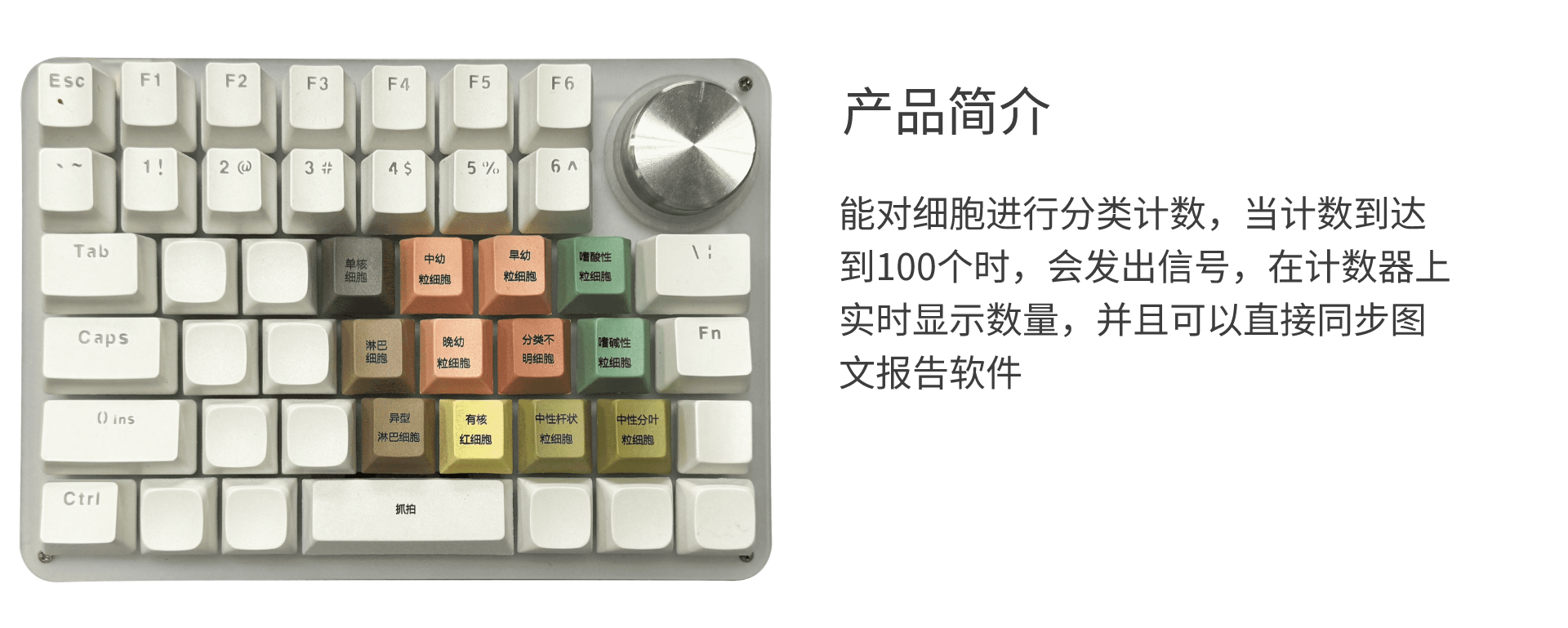 外周血细胞计数器@1x.png